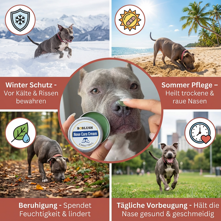 Hundepflege Schnauzenbalsam mit natürlichen Inhaltsstoffen. Schützt & pflegt trockene Hundeschnauzen. Für gesunde Haut & Tierpflege.