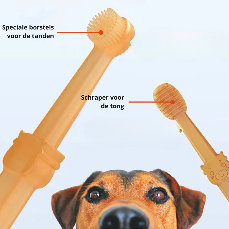 Weiche Tiermundpflege-Bürste für sanfte Zahnreinigung bei Hund und Katze. Fördert gesunde Zähne.