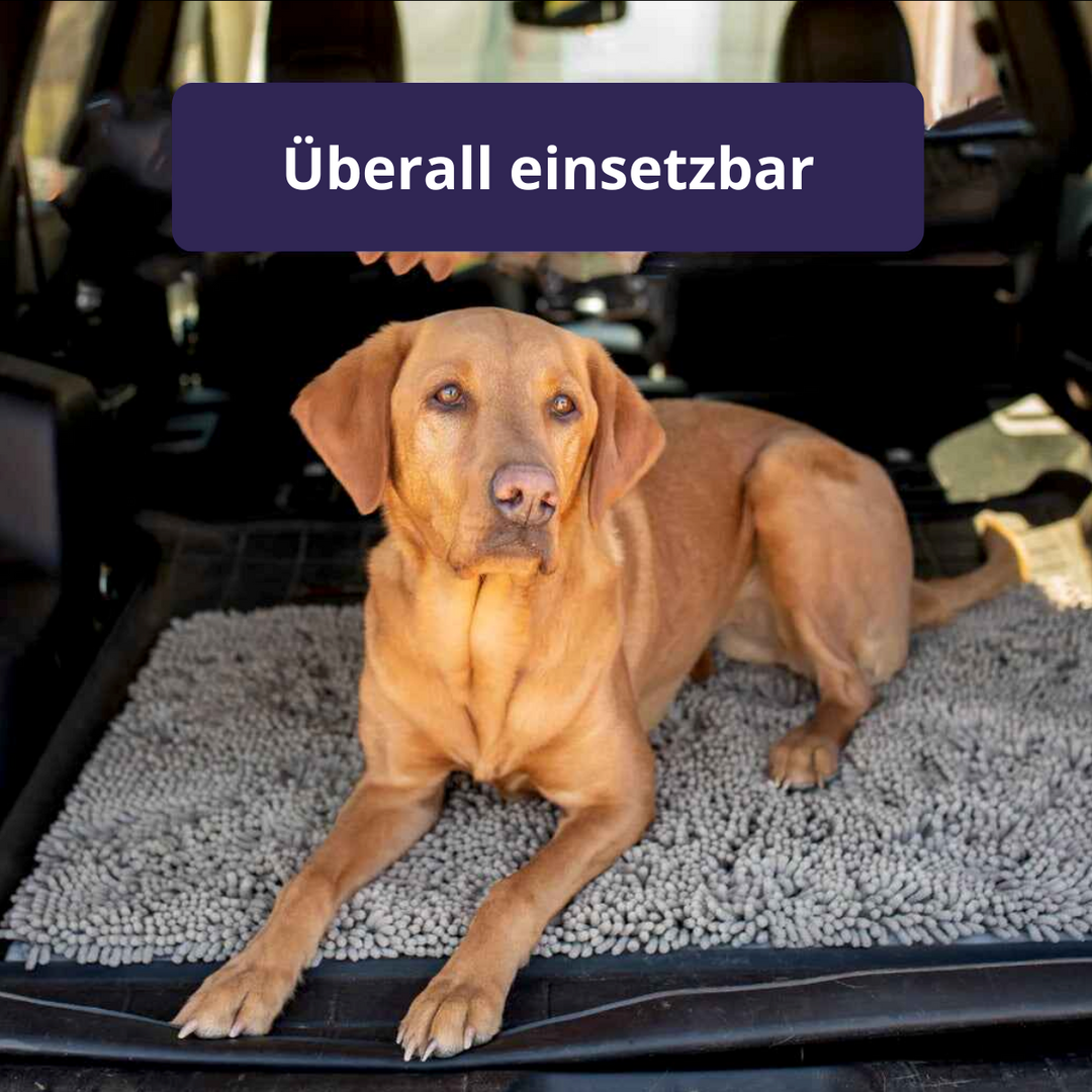 Saubere Pfoten dank saugfähiger Hundematte. Rutschfeste Schmutzfangmatte, waschbar & langlebig. Must-have Hundezubehör.