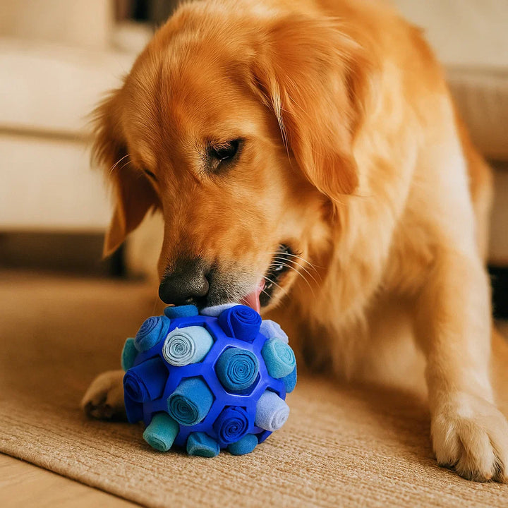 Hundebeschäftigung drinnen: Weicher Schnüffelball zum Verstecken von Leckerlis, ideal für Regentage.