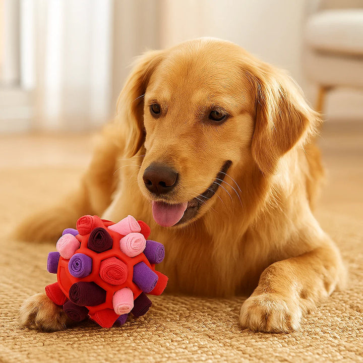 Tierisches Suchspiel: Interaktiver Schnüffelball, der den natürlichen Jagdtrieb des Hundes fördert.