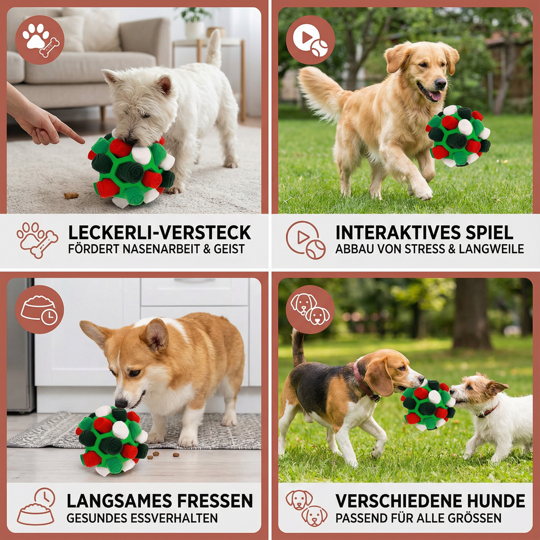 Interaktiver Leckerli-Ball: Für Hunde, die geistig gefordert werden wollen; tolles Suchspiel.