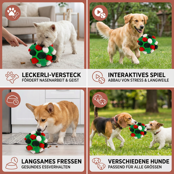 Interaktiver Leckerli-Ball: Für Hunde, die geistig gefordert werden wollen; tolles Suchspiel.