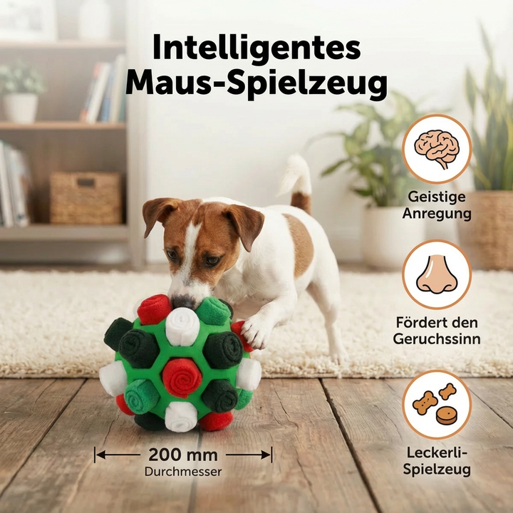 Mentale Auslastung Hund: Dieser Schnüffelball bietet Spaß & Beschäftigung für jede Fellnase.