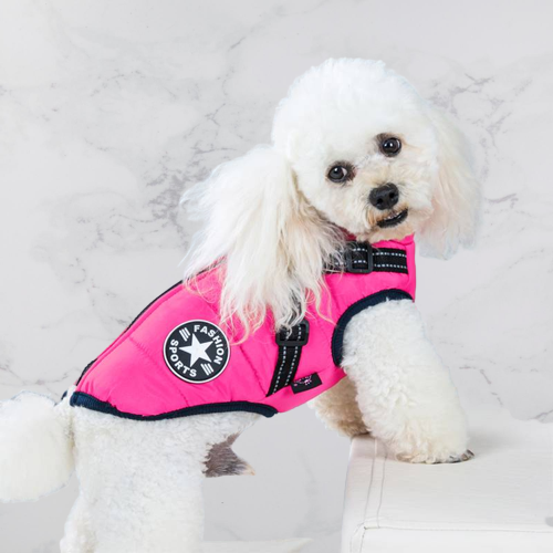 Graue Hundejacke mit integriertem Geschirr. Warm, wind- & wasserdicht für den Winter.