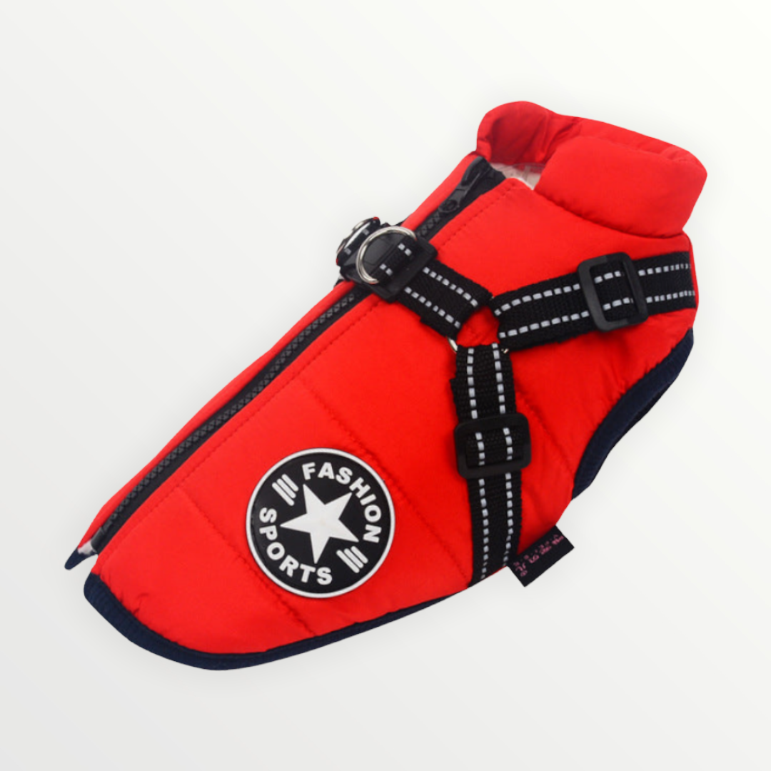Leichte Hundejacke mit Geschirr für Regenwetter. Winddicht & wasserabweisend.