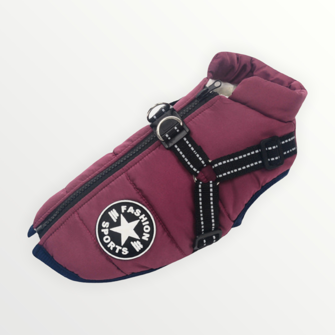 Warme Hundejacke mit Geschirr für Welpen. Wind- & wasserabweisend, hohe Sichtbarkeit.
