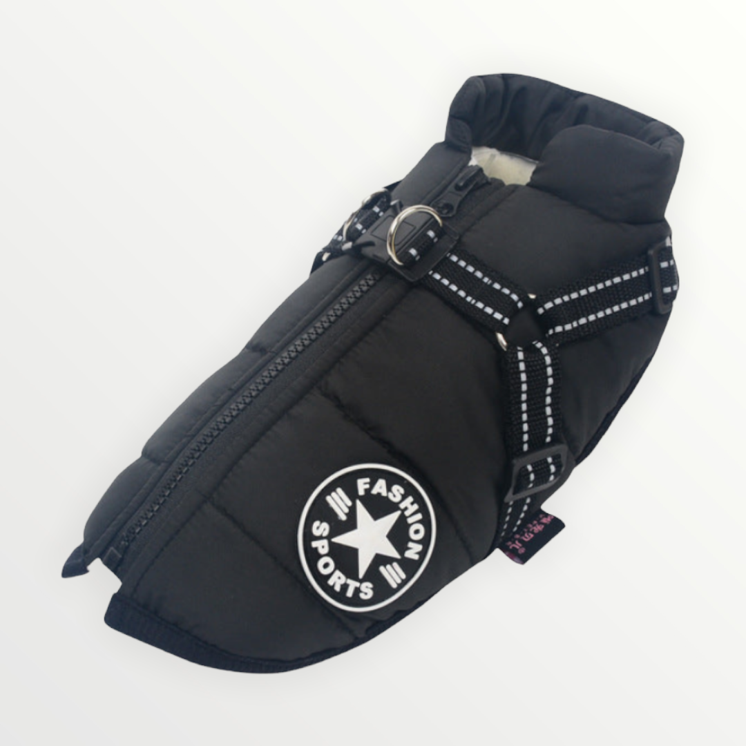 Wasserdichte Hundejacke mit Geschirr für alle Wetterlagen. Warme Hundebekleidung.