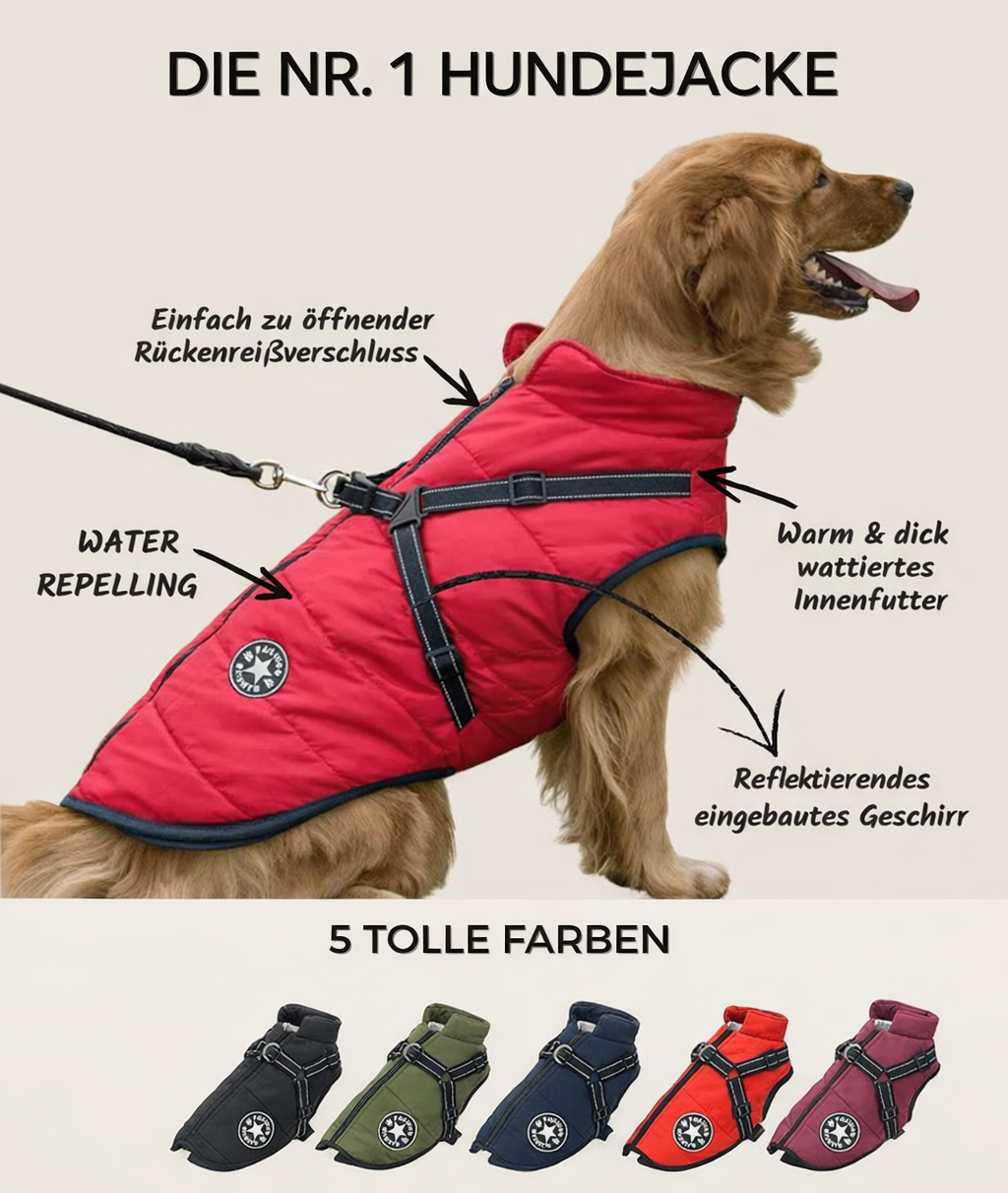 Warme Winter-Hundejacke mit Geschirr, wind- & wasserabweisend, ideal für kalte Tage.