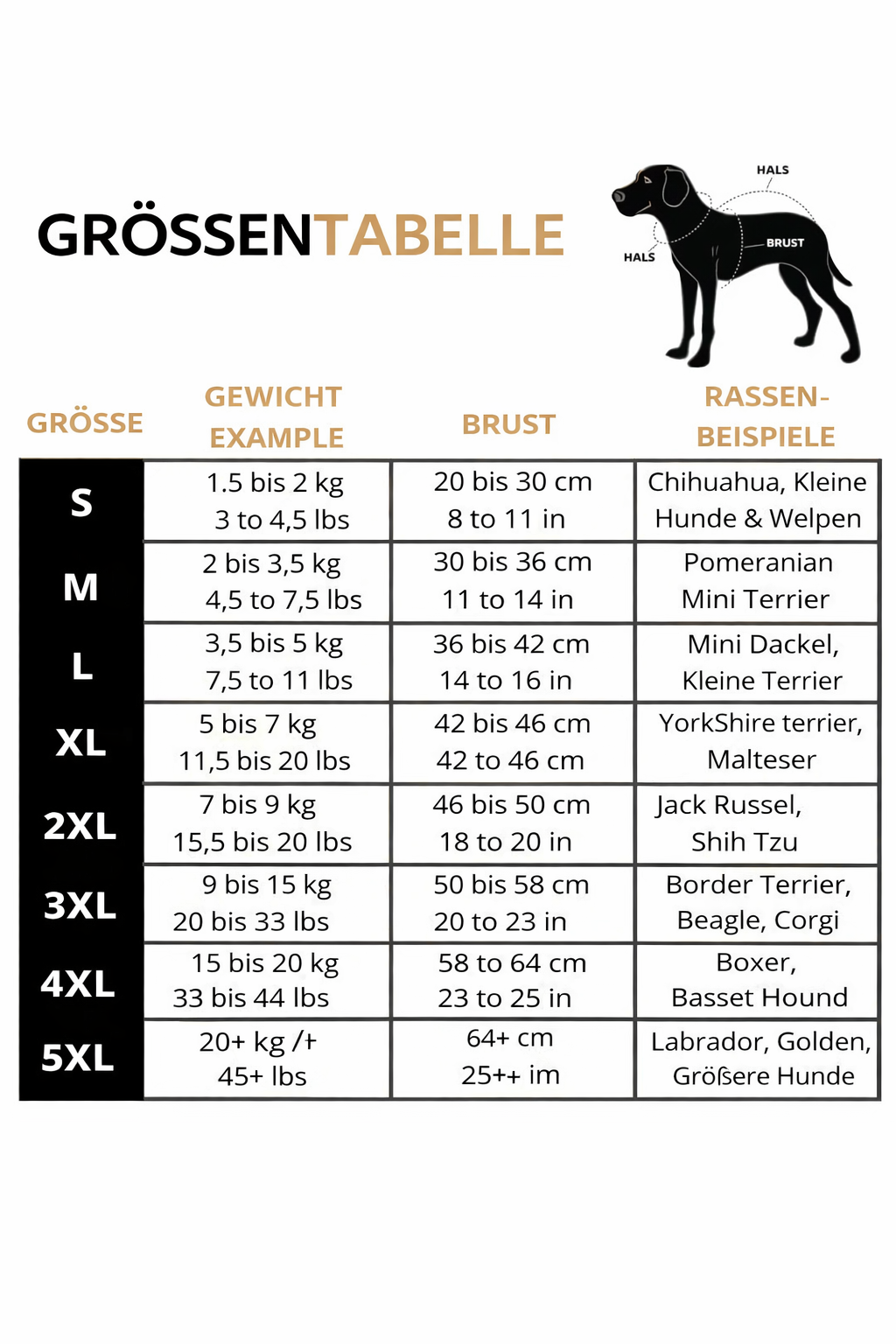 Modische Hundejacke mit Geschirr, winddicht & wasserabweisend. Optimaler Schutz.