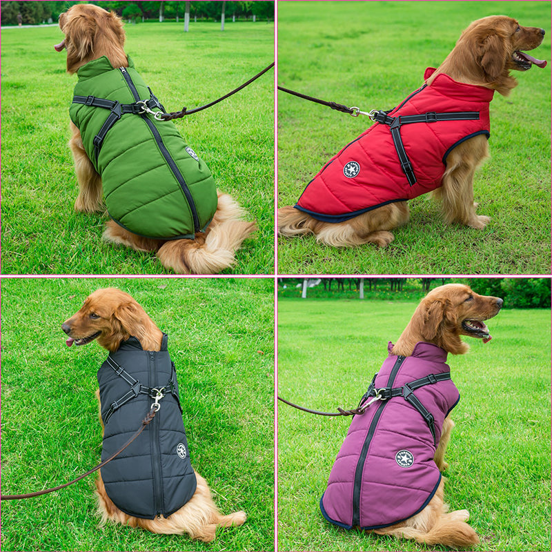 Reflektierende Hundejacke mit Geschirr für bessere Sichtbarkeit. Wind- & wasserdicht.