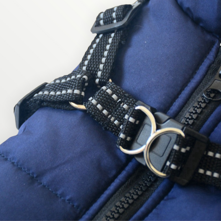 Winddichte & wasserabweisende Hundejacke mit Geschirr für mittelgroße Vierbeiner.