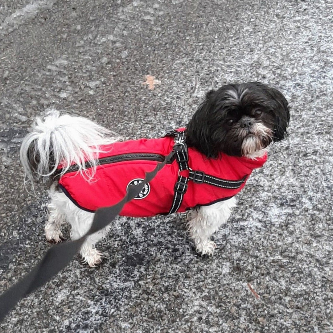 Hundejacke & Geschirr in einem. Winddicht, wasserabweisend & warm für alle Hunderassen.