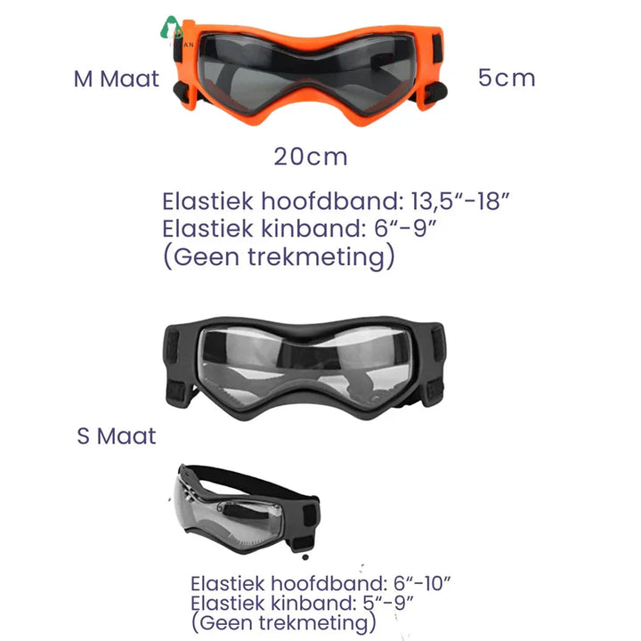 Grauer Hundehelm und getönte Hundebrille als wichtiges Hundezubehör für UV-Schutz und Augenpflege.