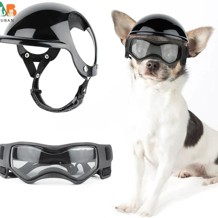 Stilvoller Hundehelm und Schutzbrille für Haustiere, ideal für UV-Schutz und Sicherheit beim Fahren.