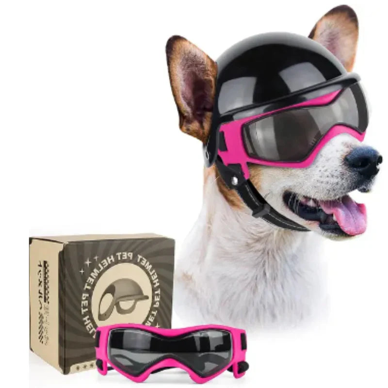 Komplettes Set: Hochwertiger Hundehelm und Schutzbrille für den UV-Schutz und Augenschutz Ihres Hundes.