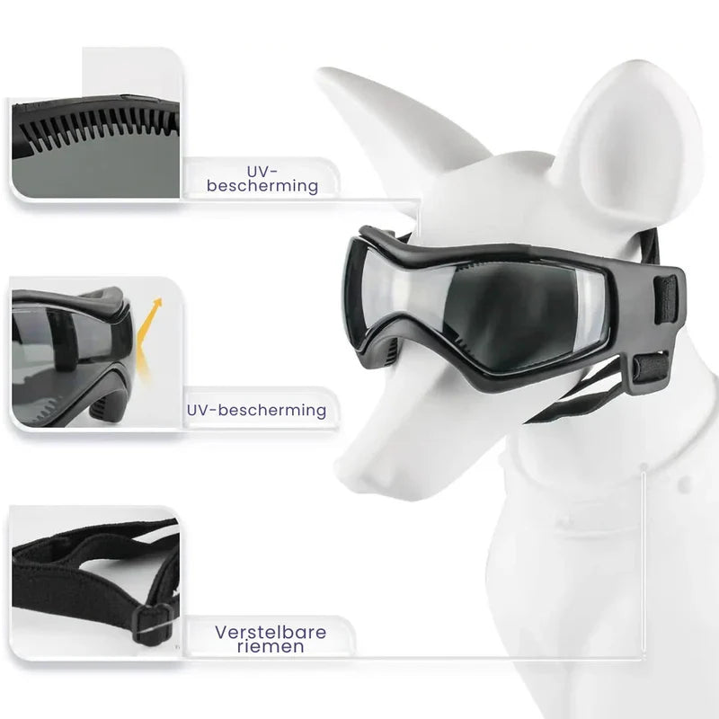 Schützendes Hundezubehör: Hundehelm und passende Schutzbrille für sicheren Outdoor-Spaß und Augenschutz.