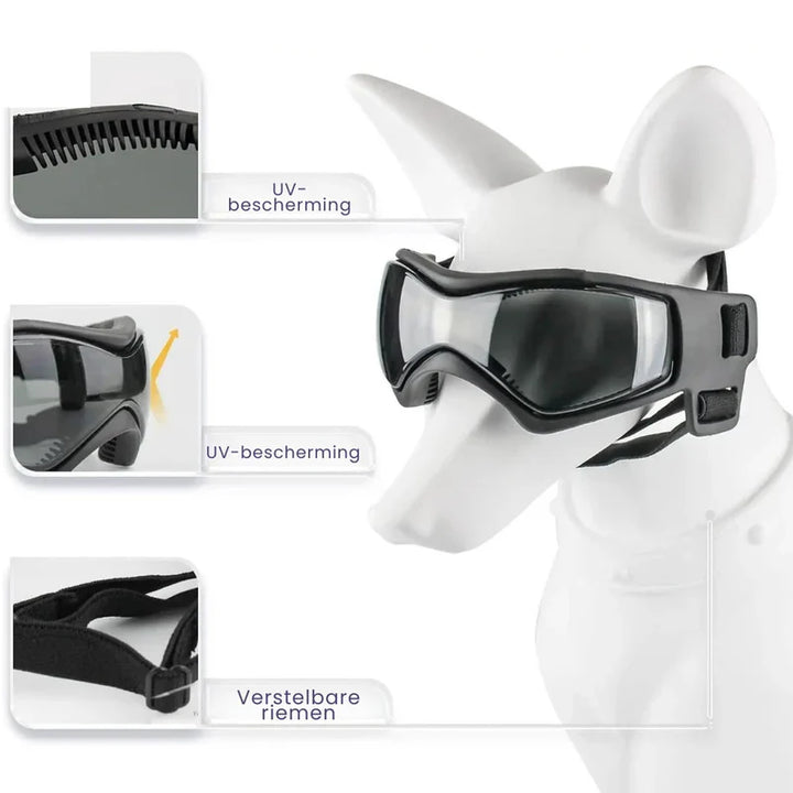 Schützendes Hundezubehör: Hundehelm und passende Schutzbrille für sicheren Outdoor-Spaß und Augenschutz.