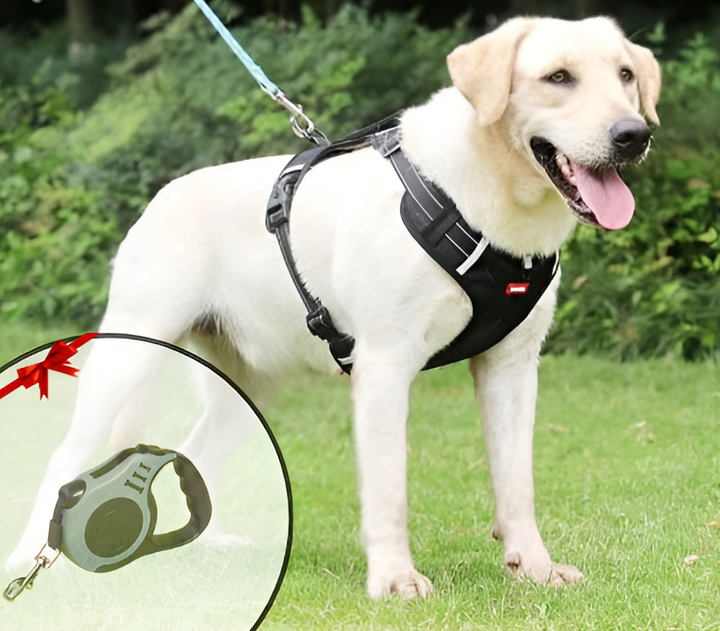 Schwarzes Anti-Ziehgeschirr für Hunde, optimiert für Kontrolle & Komfort bei jedem Spaziergang.