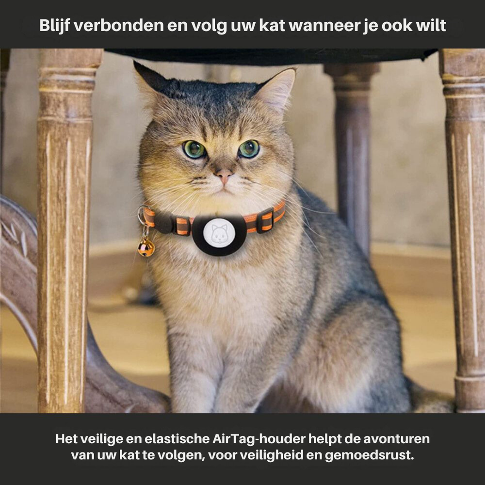 Robustes Katzenhalsband mit integrierter GPS-Halterung, reflektierend, für mehr Sicherheit der Katze.