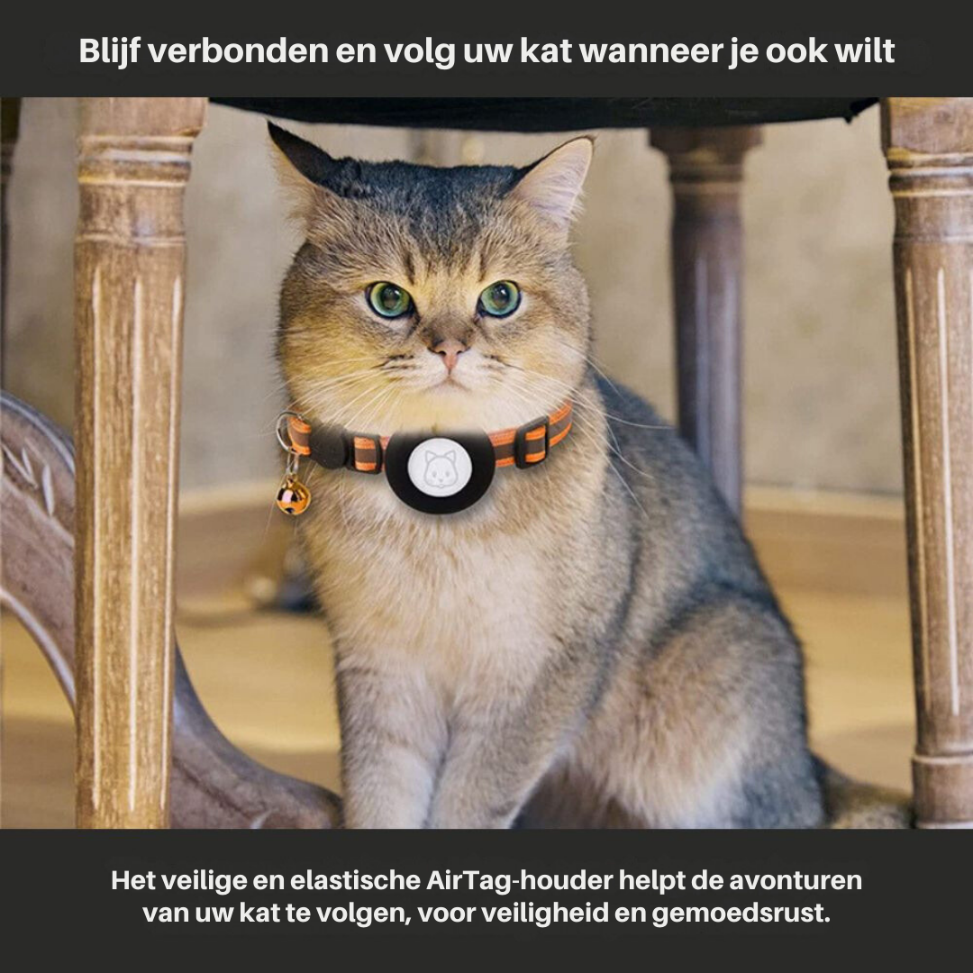 Robustes Katzenhalsband mit integrierter GPS-Halterung, reflektierend, für mehr Sicherheit der Katze.