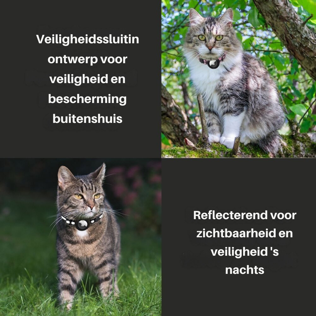 Innovatives Katzenhalsband: reflektierend, mit GPS-Tasche und Sicherheitsverschluss für aktive Katzen.