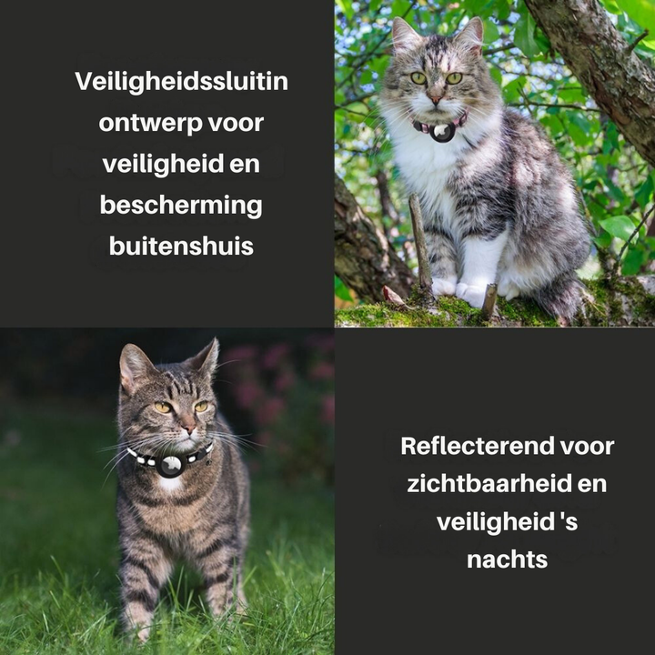 Innovatives Katzenhalsband: reflektierend, mit GPS-Tasche und Sicherheitsverschluss für aktive Katzen.