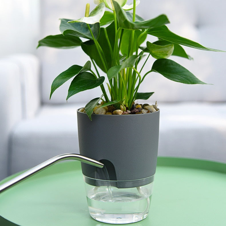 Selbstbewässernder AquaBloom Pflanzenkübel für gesunde Indoor- und Gartenpflanzen. Pflegeleichte Heimdekoration.