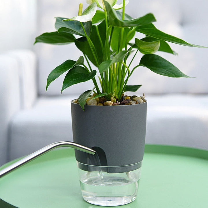 Selbstbewässernder AquaBloom Pflanzenkübel für gesunde Indoor- und Gartenpflanzen. Pflegeleichte Heimdekoration.