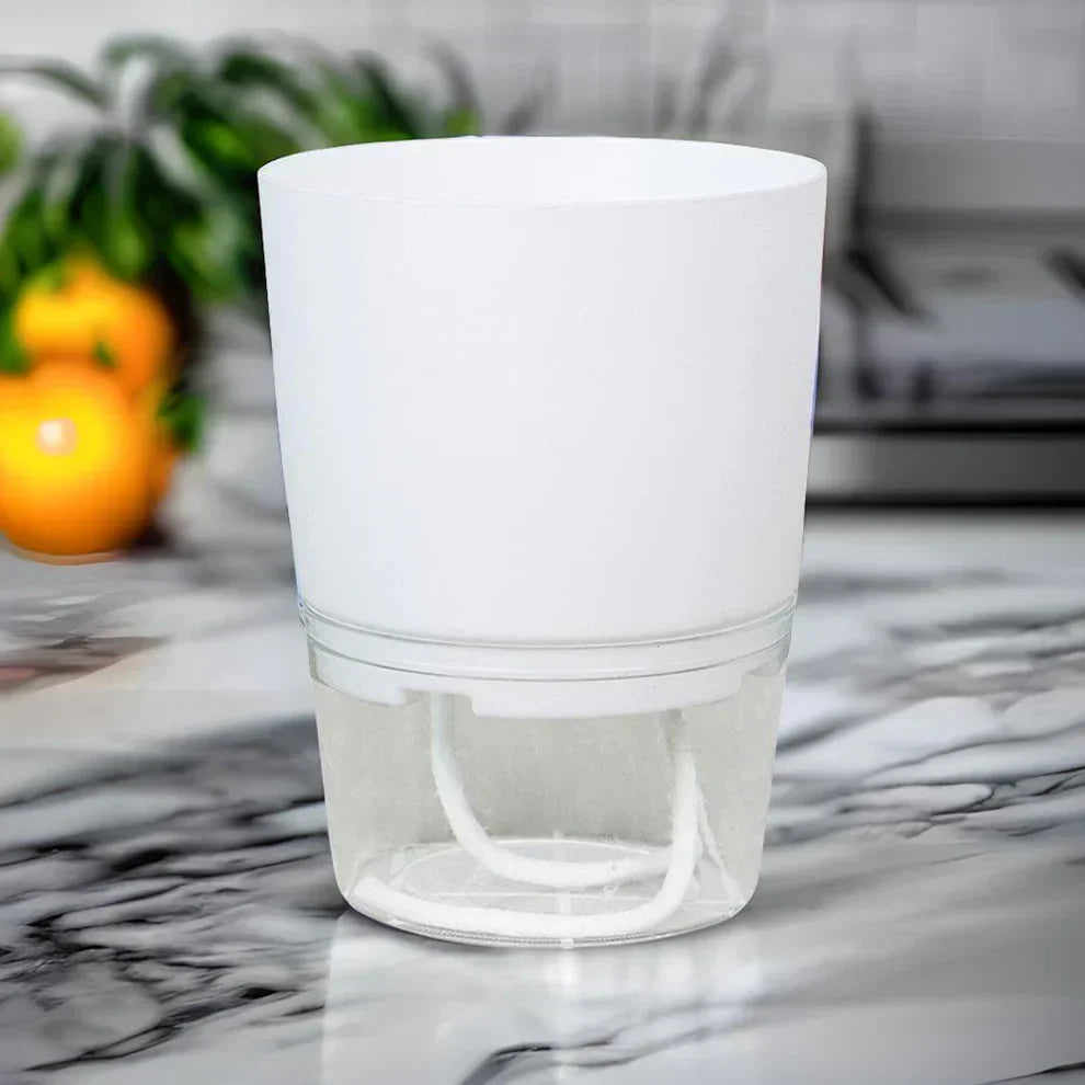 AquaBloom selbstbewässernder Pflanzenkübel. Sorgt automatisch für gesunde Pflanzen. Ideal für pflegeleichtes Wohnen.
