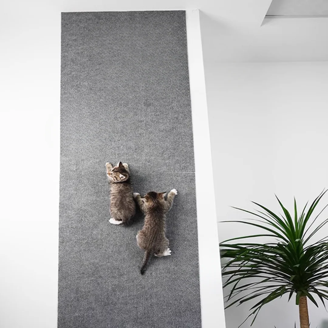 Katzenfreundliche Kratzschutzmatte, ideal als Kratzteppich für Katzen an Möbeln. Schützt Ihre Einrichtung.