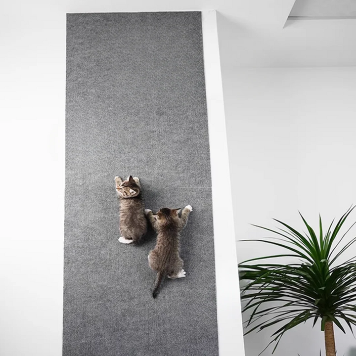 Katzenfreundliche Kratzschutzmatte, ideal als Kratzteppich für Katzen an Möbeln. Schützt Ihre Einrichtung.