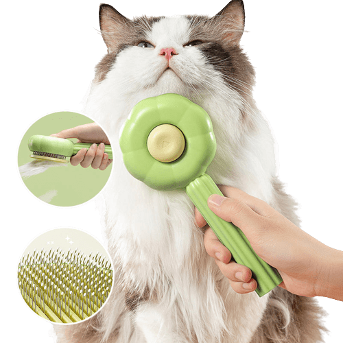 Selbstreinigende Katzenbürste zur stressfreien Fellpflege, entfernt effektiv lose Katzenhaare.