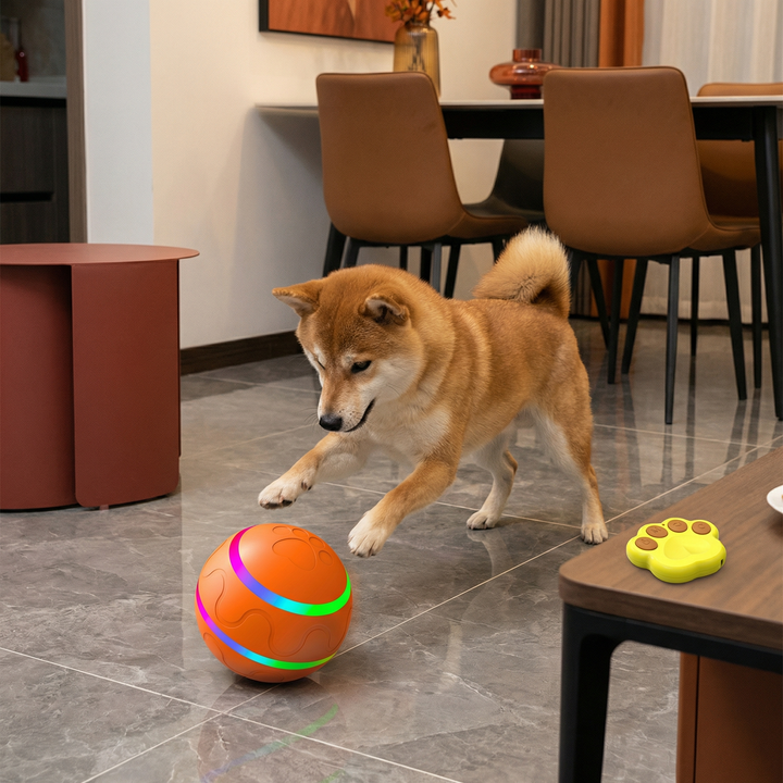 Selbstrollender interaktiver Hundeball für aktive Beschäftigung & Spielspaß drinnen/draußen.