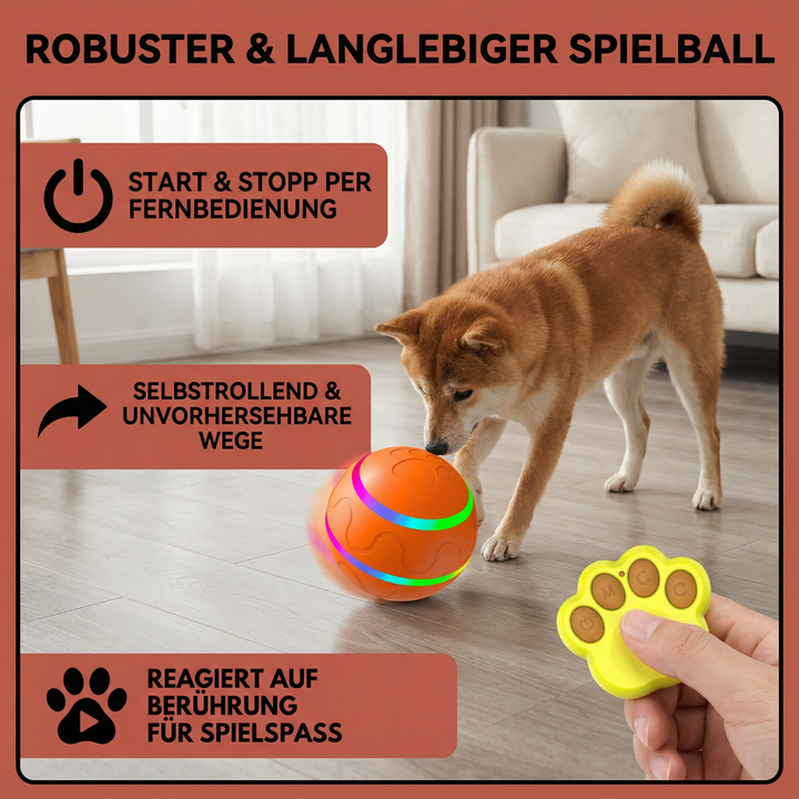 Robuster langlebiger Spielball für Hunde, ideal für Welpen & große Rassen, endloser Spielspaß.