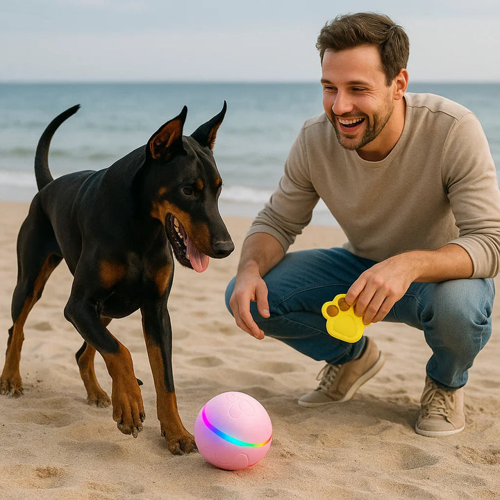 Endloser Spielspaß mit diesem selbstrollenden Hundeball. Hochwertiges, robustes Tierbedarf-Spielzeug.