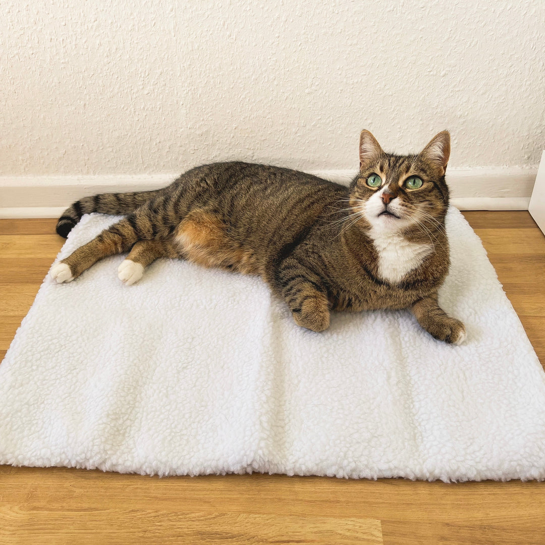 Selbstwärmende Katzenmatte WarmPurr™ für gemütlichen Komfort und wohlige Wärme.