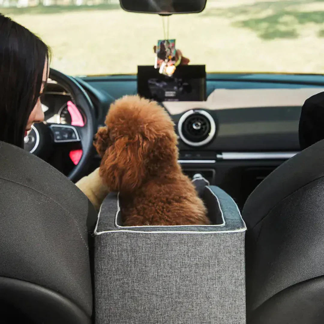 Sicherer, gepolsterter Auto-Hundesitz für kleine Hunde bis 11kg. Bietet Komfort und Sicherheit im Fahrzeug.