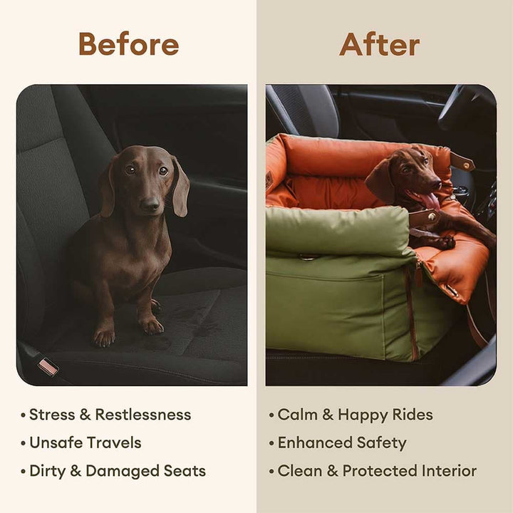Hochwertiger Hundetransportsitz mit ISOFIX-System, garantiert sicheren Halt & Komfort für Hunde im Auto.