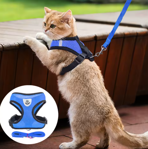 Sicheres & bequemes Katzengeschirr mit Leine für Spaziergänge; verstellbar & atmungsaktiv für Katzen.