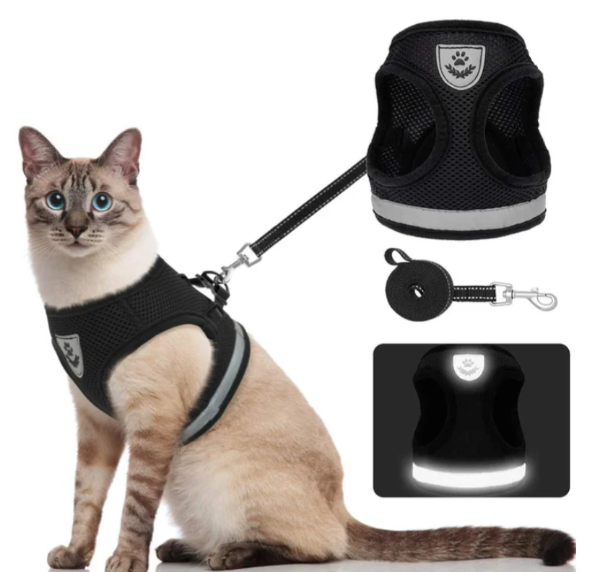 Hochwertiges Katzengeschirr-Set mit Leine für sichere Outdoor-Abenteuer. Verstellbar & atmungsaktiv für Katzen.