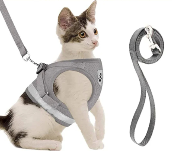 Sicheres & komfortables Katzengeschirr-Set mit Leine. Ideal für Spaziergänge, verstellbar und atmungsaktiv.