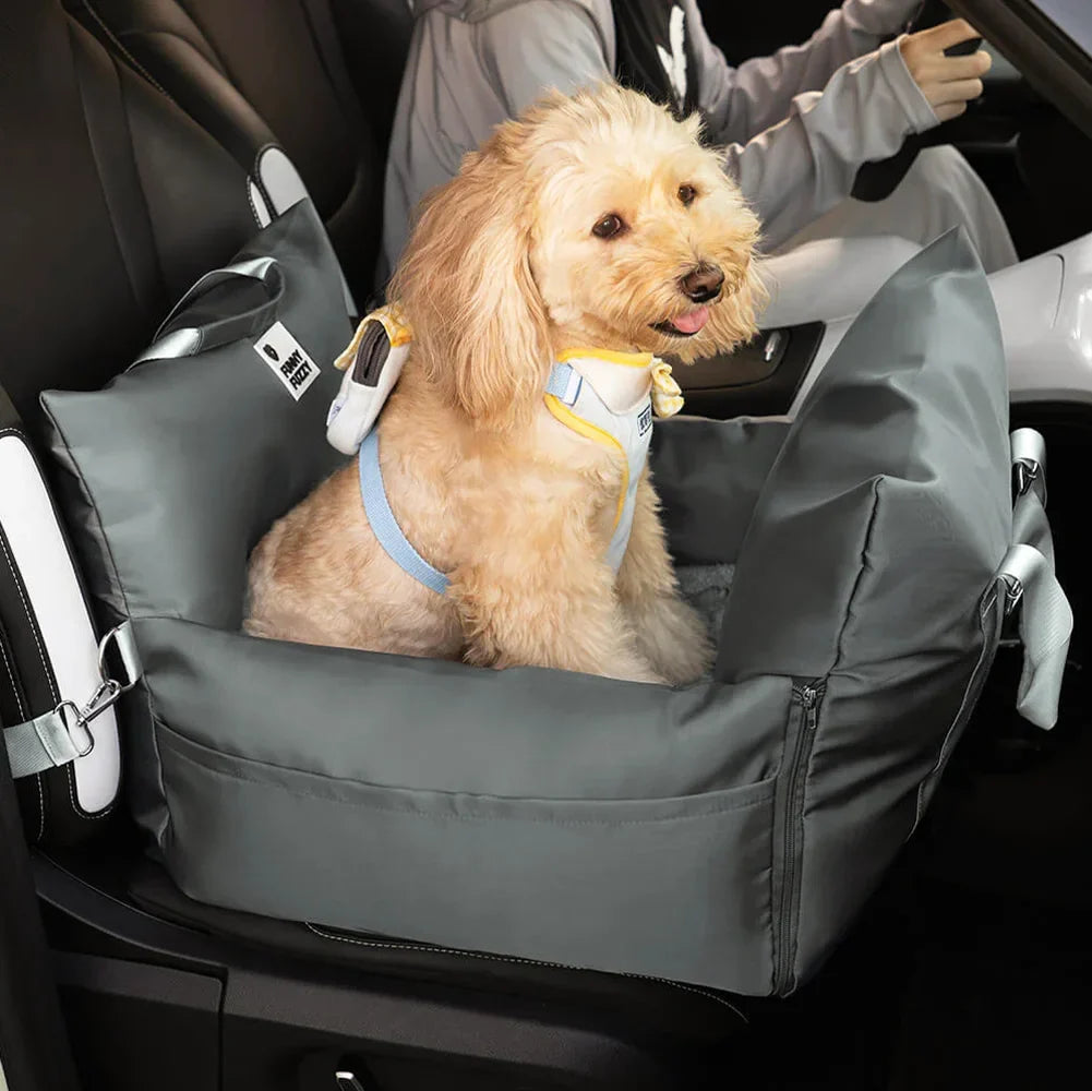 Hundeautositzbett im geparkten Auto, der Hund schläft friedlich.