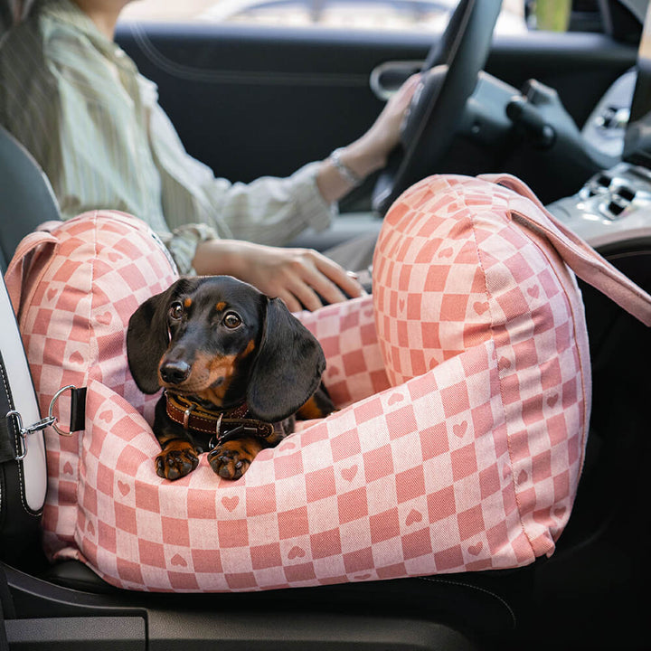 Hunde-Autositzbett mit erhöhten Rändern für Geborgenheit & Schutz des Hundes.