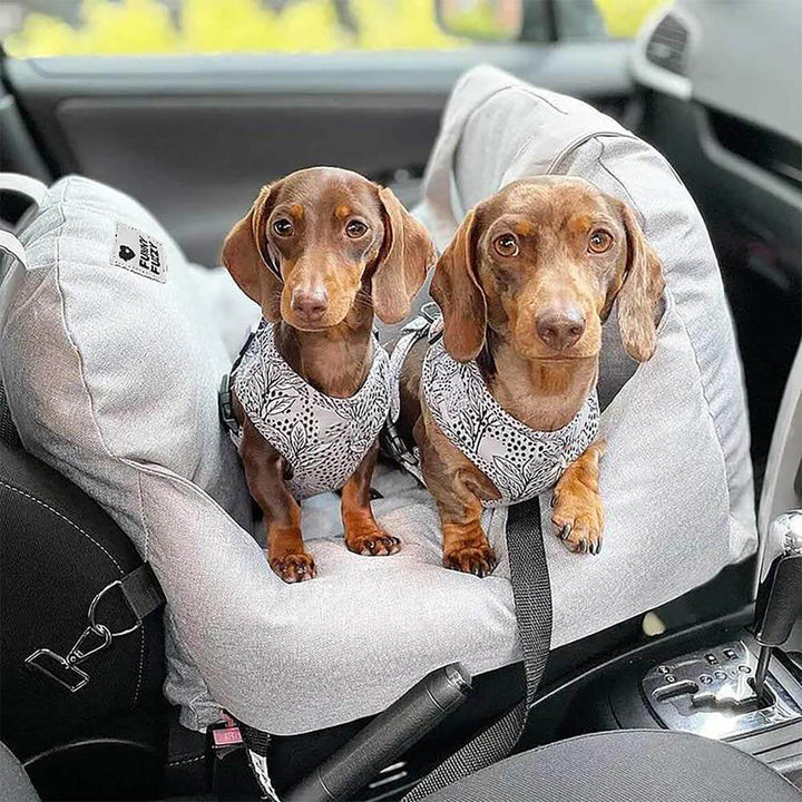 Rundum-Sicherheit: Geschlossenes Hunde-Autositzbett für maximalen Schutz & Komfort.