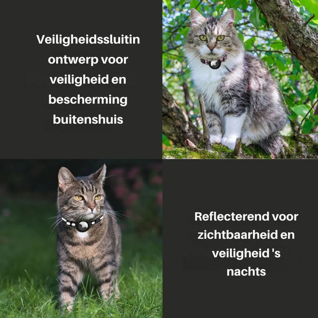 Premium Katzenhalsband, verstellbar, mit cleverem Auslöse-Clip. Maximale Sicherheit & hoher Komfort.