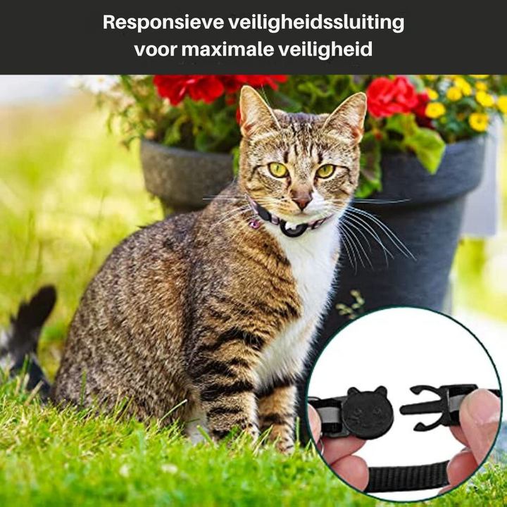 Tierfreundliches Katzenhalsband mit Sicherheitsverschluss, Reflektorstreifen und Fach für GPS-Sender.