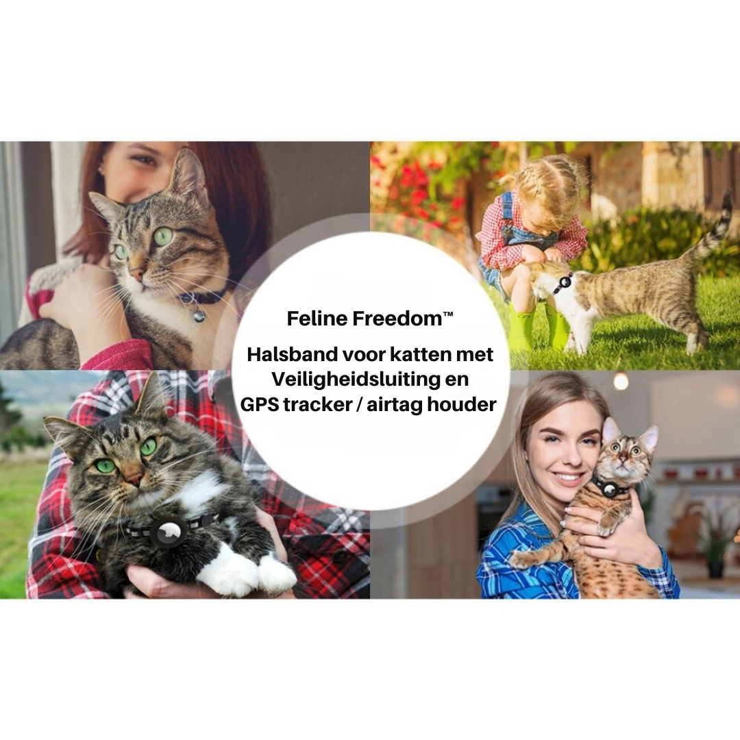 Katzenhalsband mit Glöckchen (optional), Reflektor und GPS-Fach für zusätzliche Sicherheit.