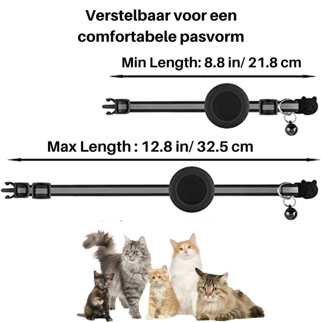 Katzenhalsband 'Sicher & Smart': mit GPS-Fach, Reflektorstreifen und reflektierenden Details.