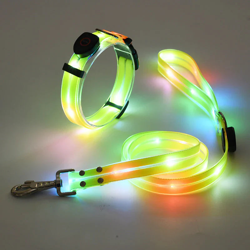 Sichtbares gelbes LED Hundehalsband & passende Leine für sichere Spaziergänge im Dunkeln. Ideal für erhöhte Sichtbarkeit.